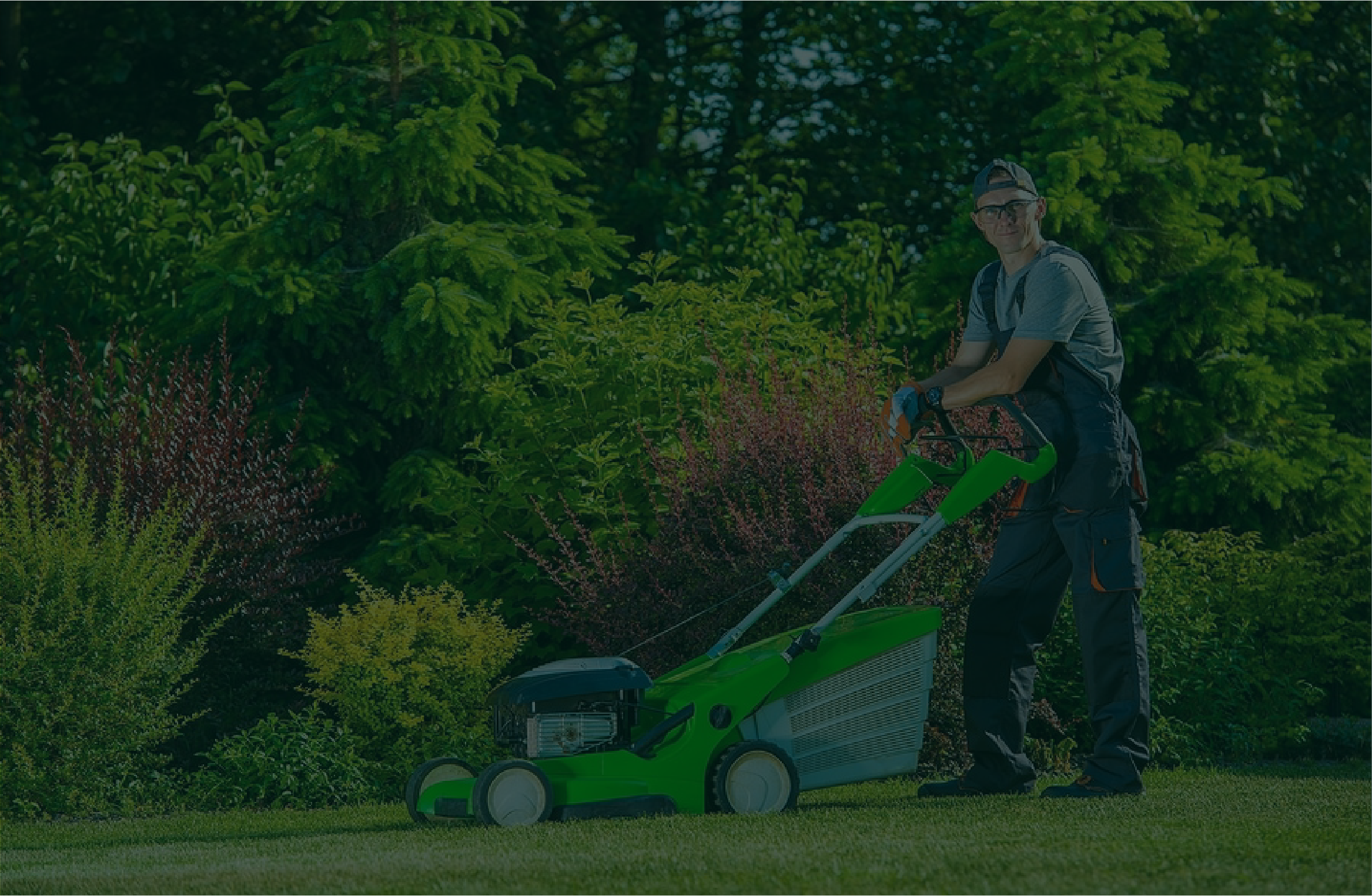 Lawn Maintenance